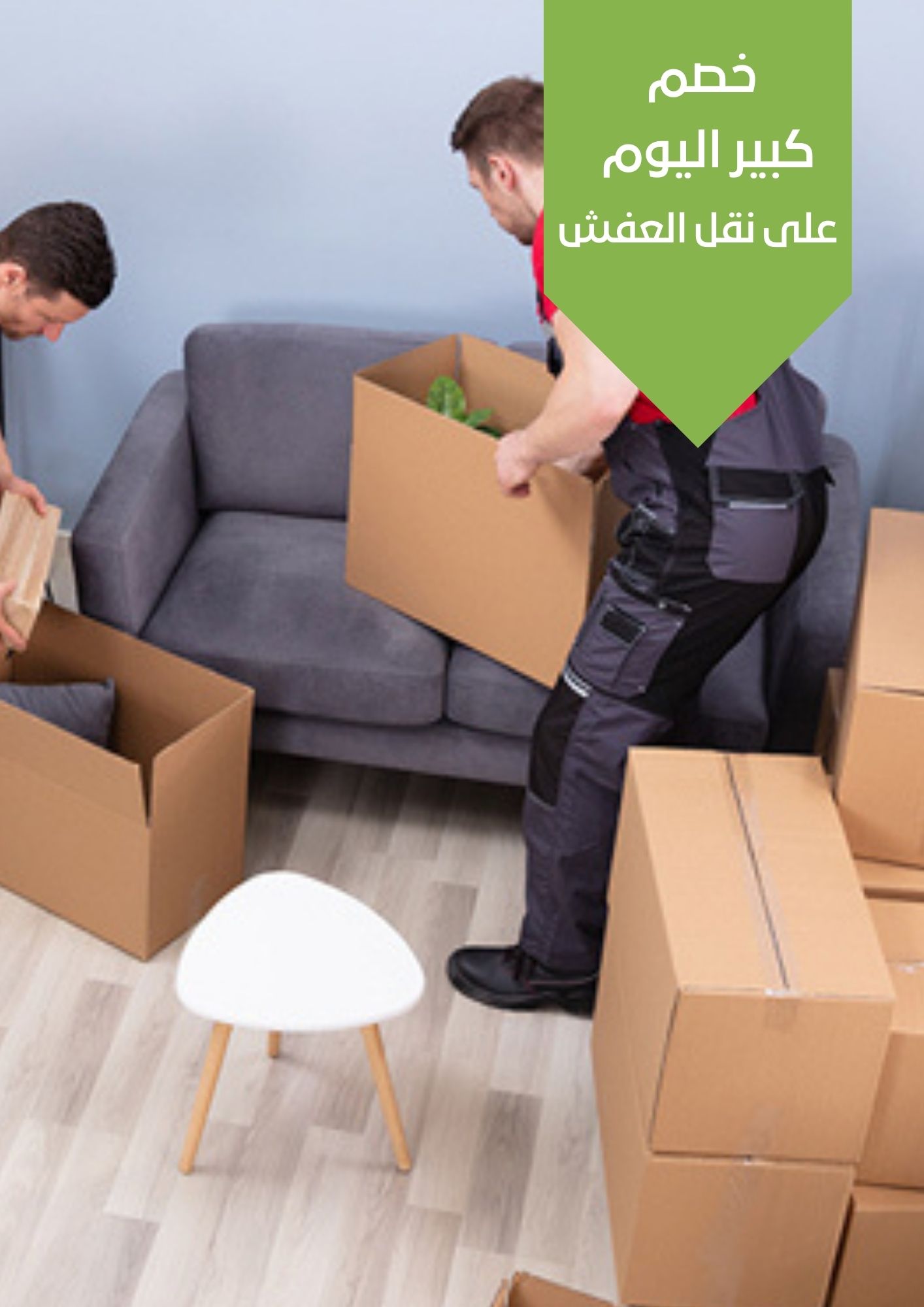 تغليف احترافي